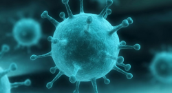 Influenza-virus