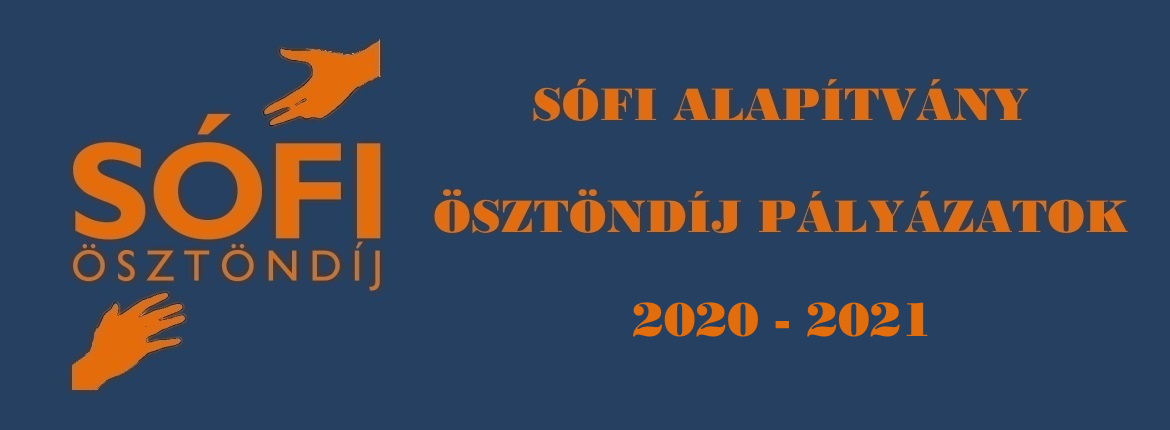 sofi_2020_2021